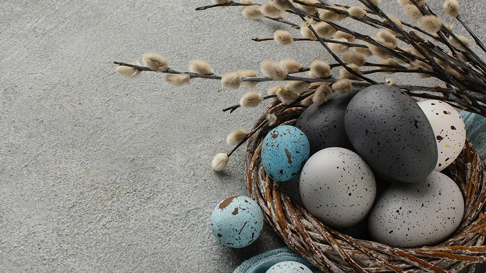 Фото: freepik.com