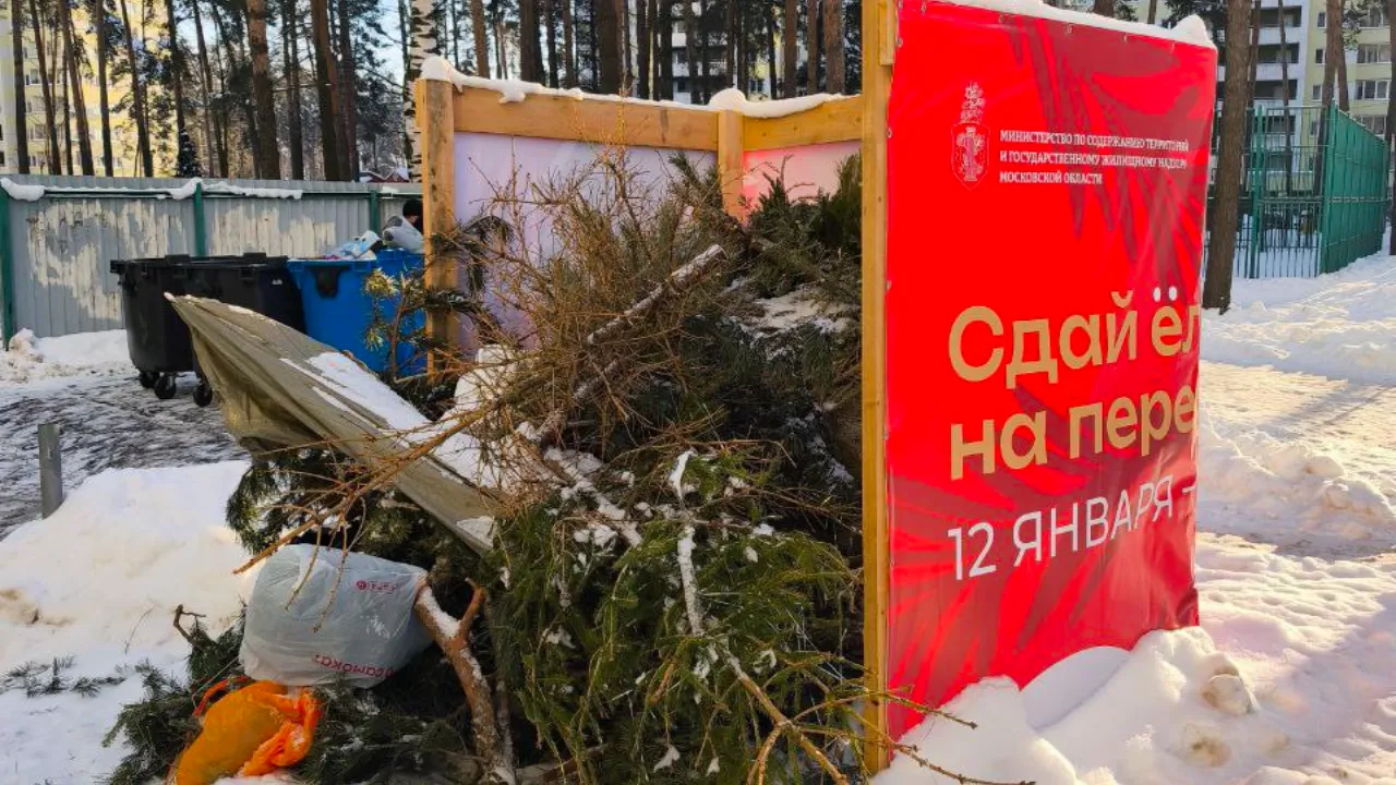 регоператор ЭкоЛайн-Воскресенск