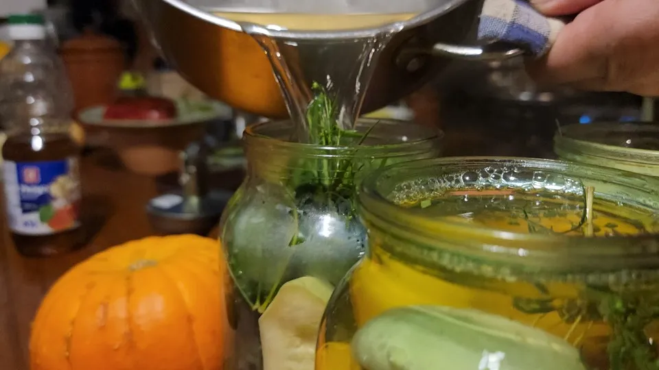 Фото: МедиаБанк Подмосковья/Ксения Пашуто