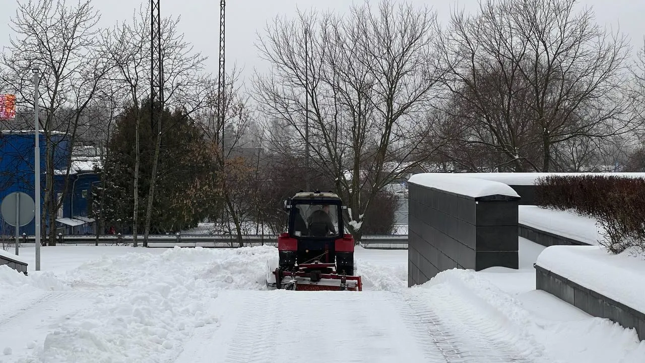 Фото: Андрей Савельев, «Подмосковье сегодня»