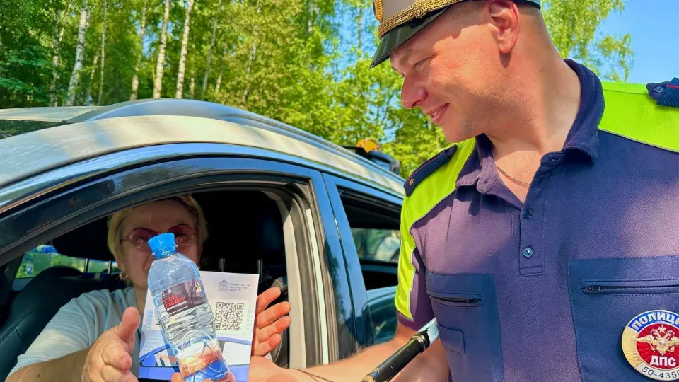 Фото: Госавтоинспекция Московской области