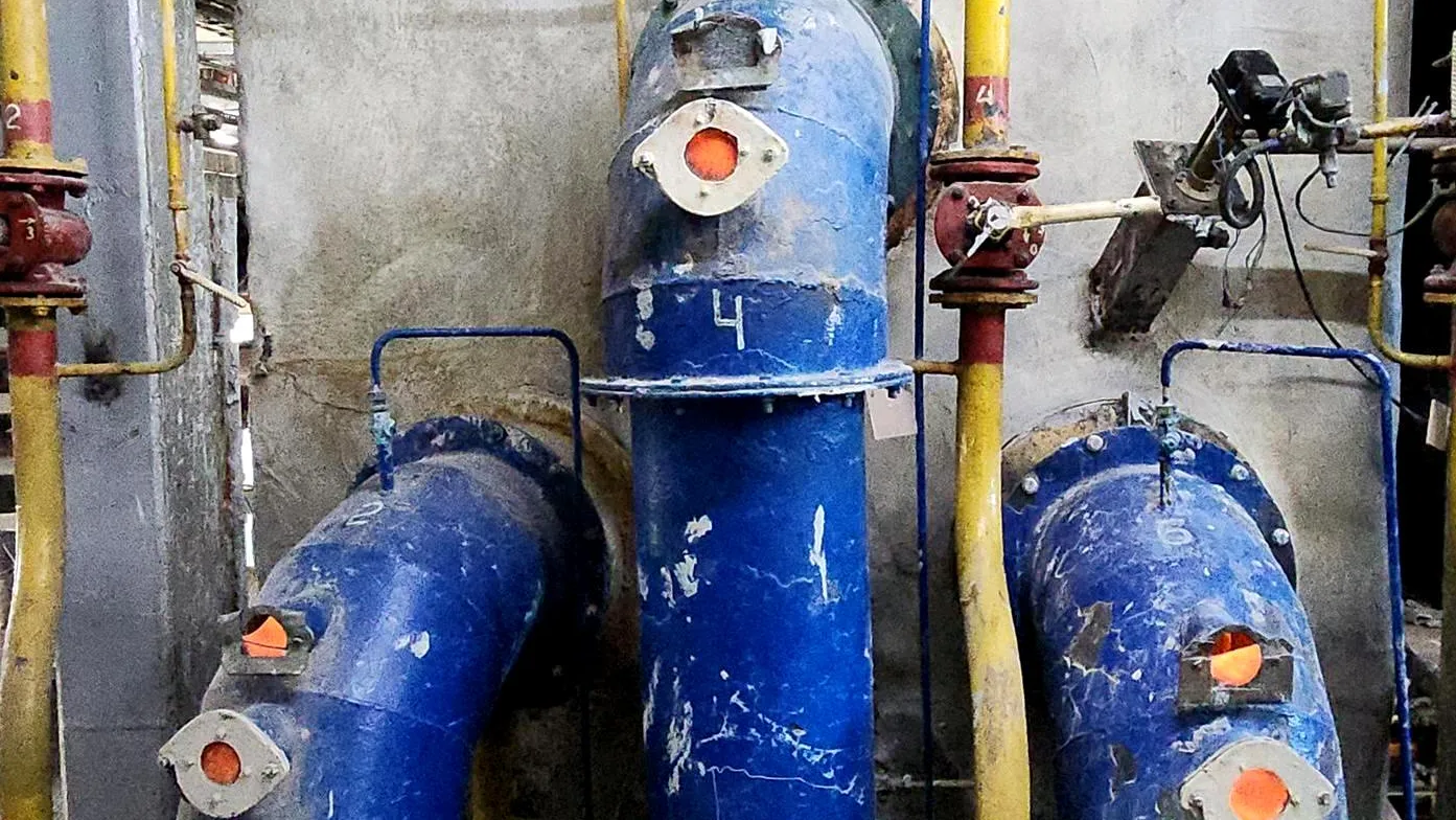 Фото: Нина Басистая