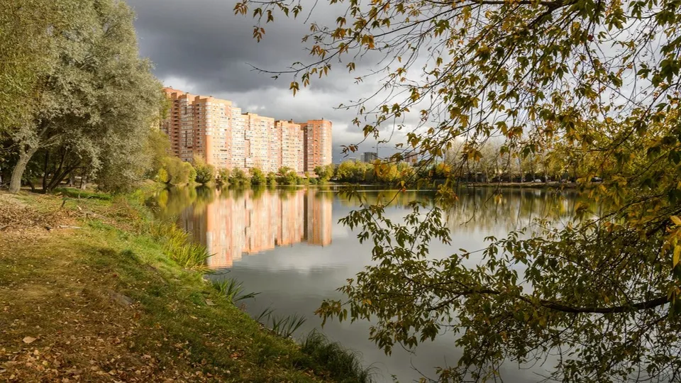 Фото: медиасток.рф