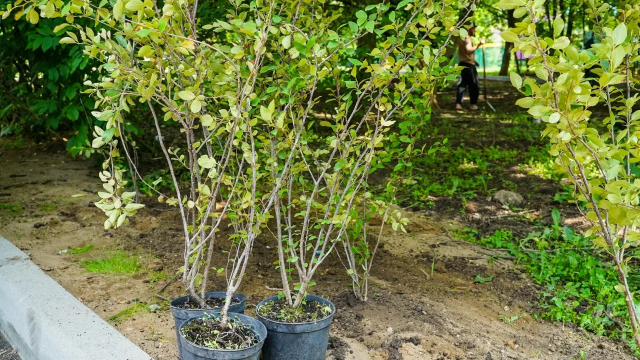 пресс-служба администрации г.о. Химки