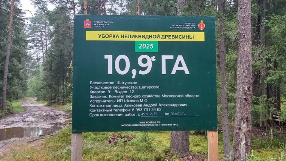 Фото: администрация м.о. Шатура