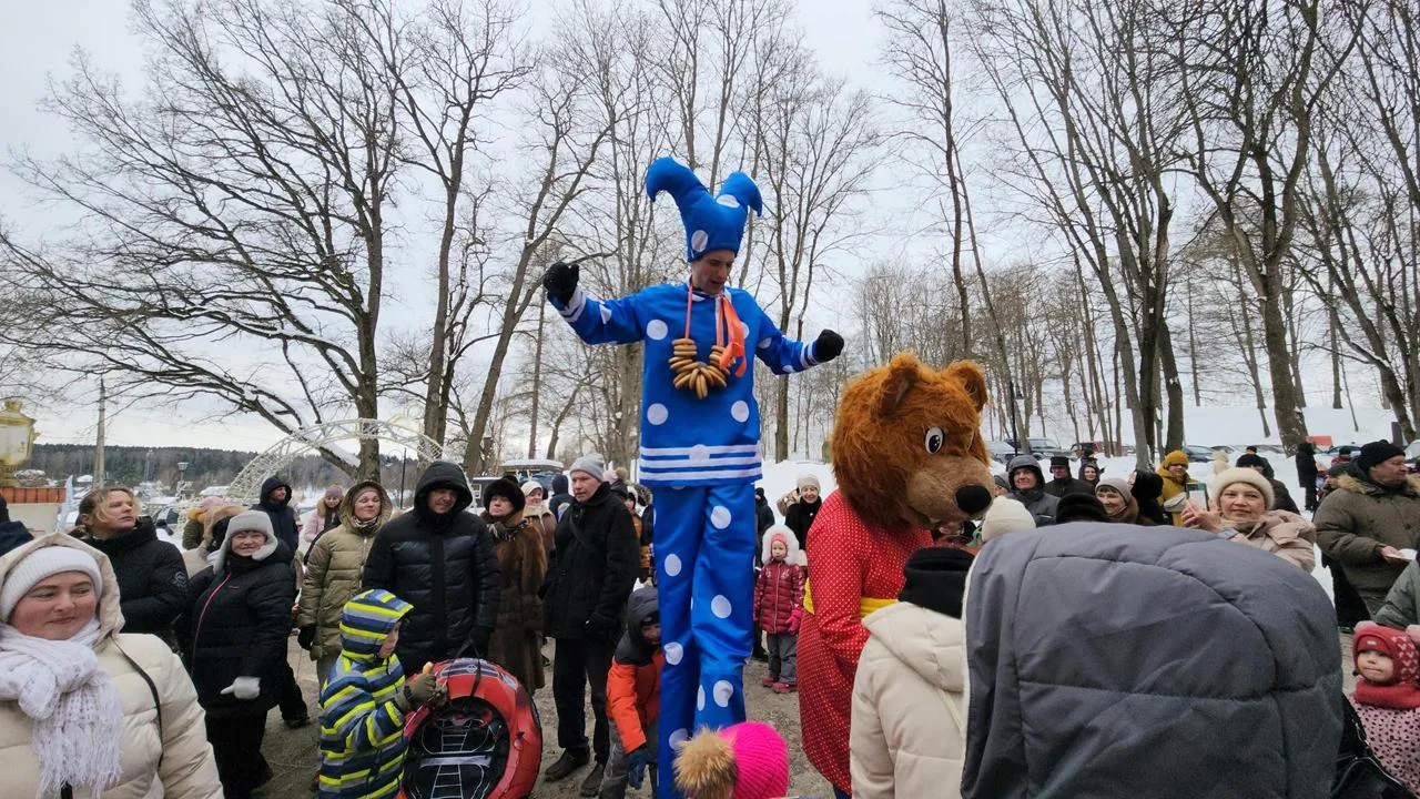 МедиаБанк Подмосковья/Екатерина Данилина