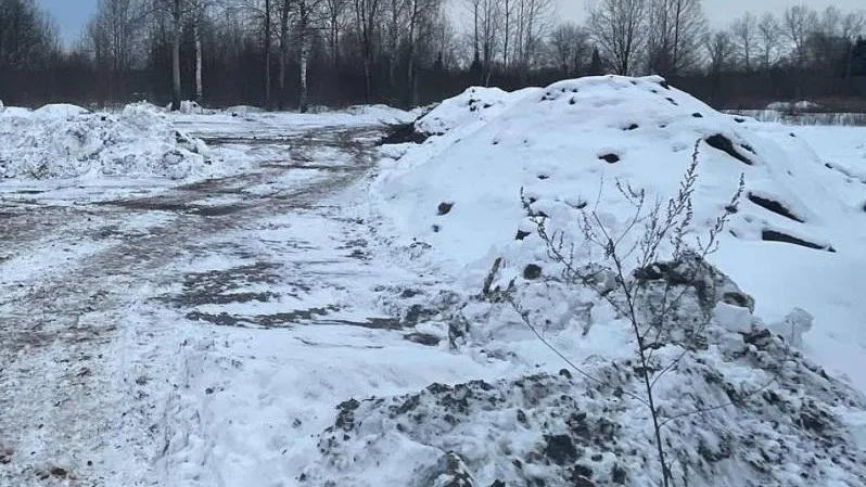 Собственница участка в Красногорске понесет наказание за незаконную свалку