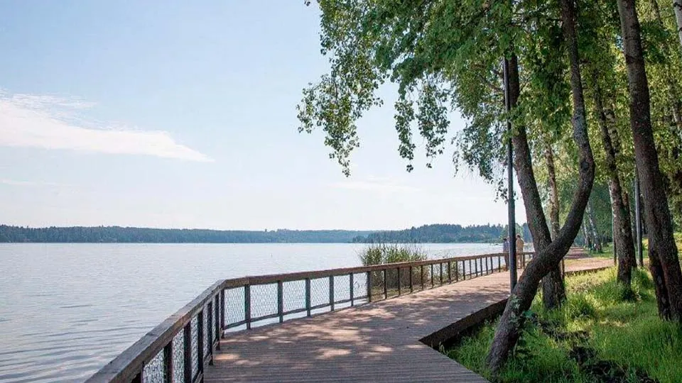 Фото: пресс-служба администрации г.о. Солнечногорск