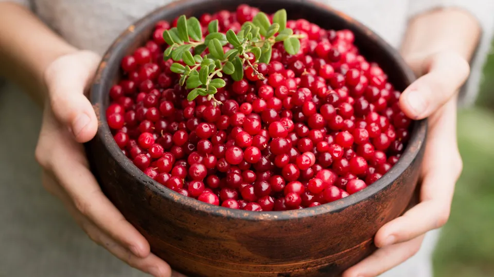 Фото: istockphoto.com/Mallivan