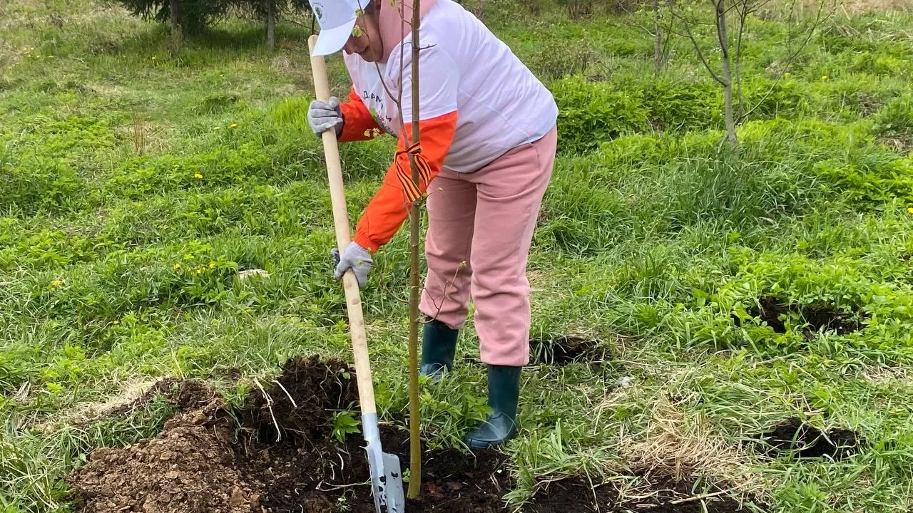 Фото: REGIONS/Юлиан Миранду