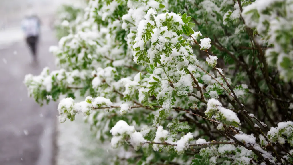 фото:.freepik.com