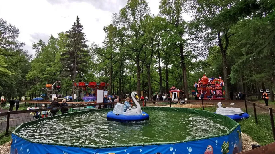 Фото: t.me/podolskadm