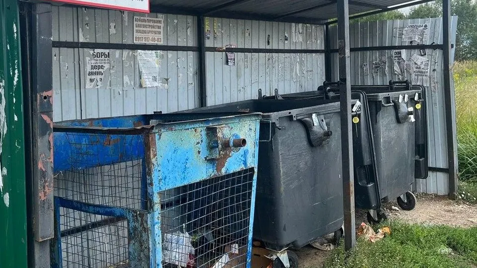 Фото: t.me/piragova