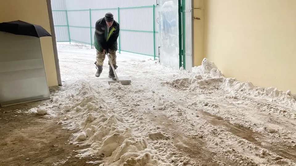 Фото: Комитет лесного хозяйства Московской области