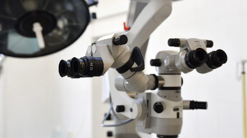 Фото: администрация Дмитровского муниципального округа