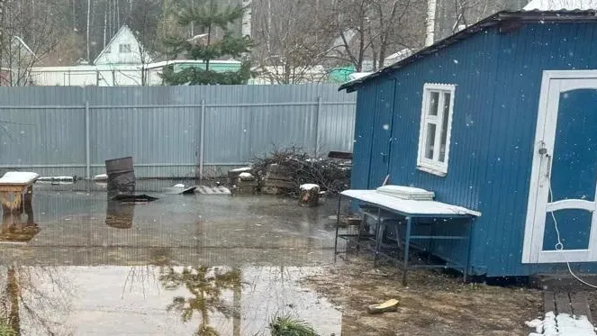 Картинка