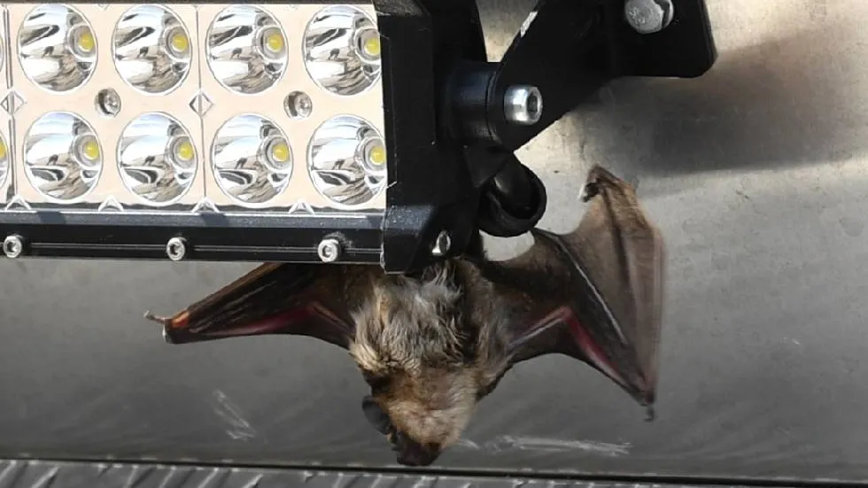 Фото: РИА Новости/Евгений Биятов