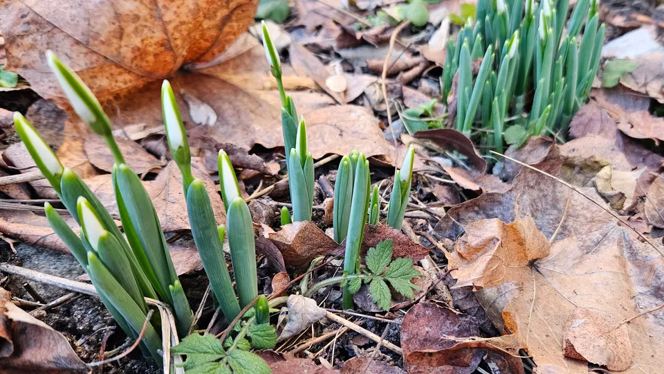 Фото: Ольга Вельшикаева
