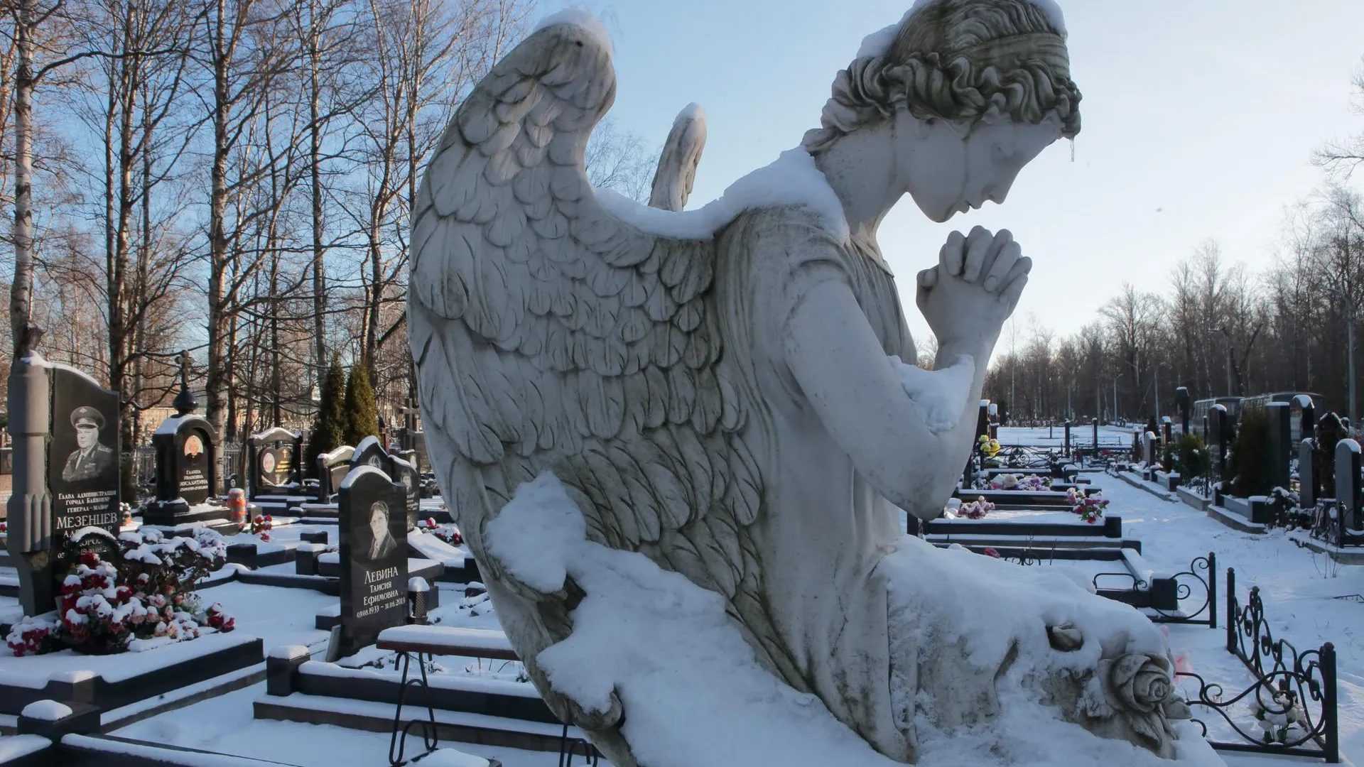 Zamir Usmanov/Global Look Press