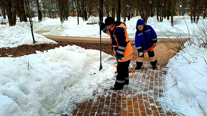 Фото: Пресс-служба администрации городского округа Истра