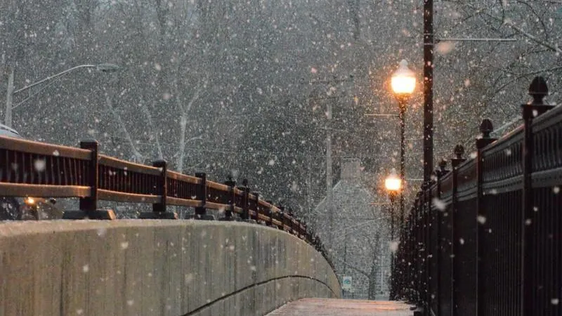 В Подмосковье на выходных ожидаются снегопады