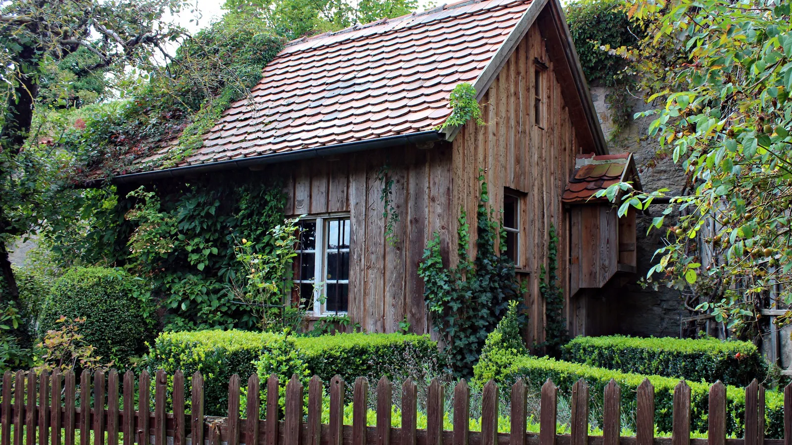 Фото: pxhere.com