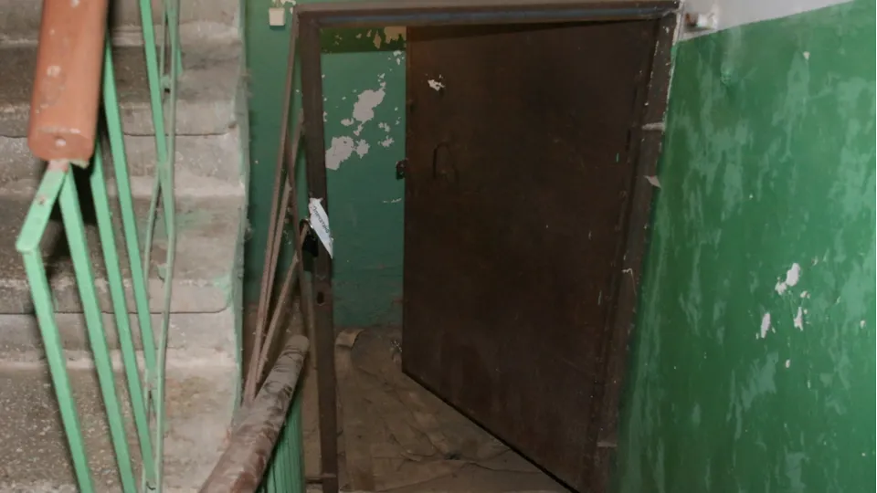 Фото: Алексей Грызлов