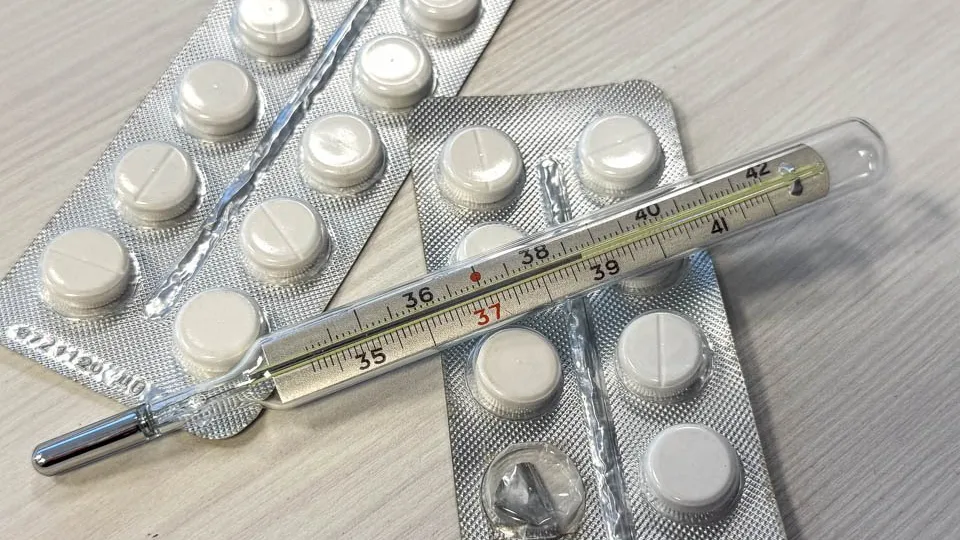 Фото: REGIONS/Владимир Ерастов