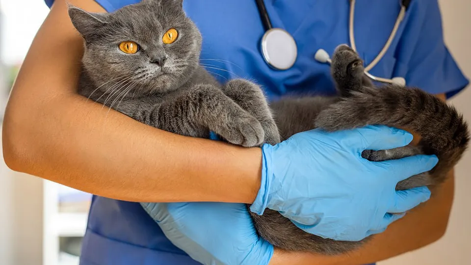 Фото: istockphoto.com