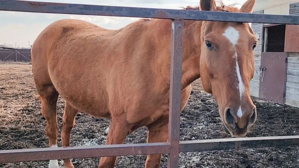 Фото: Ольга Антонова