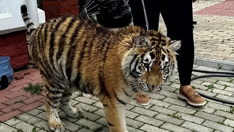 Фото: t.me/radionovasg