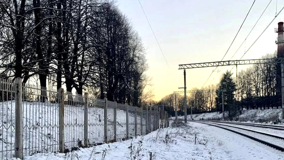 Фото: Минтранс Подмосковья