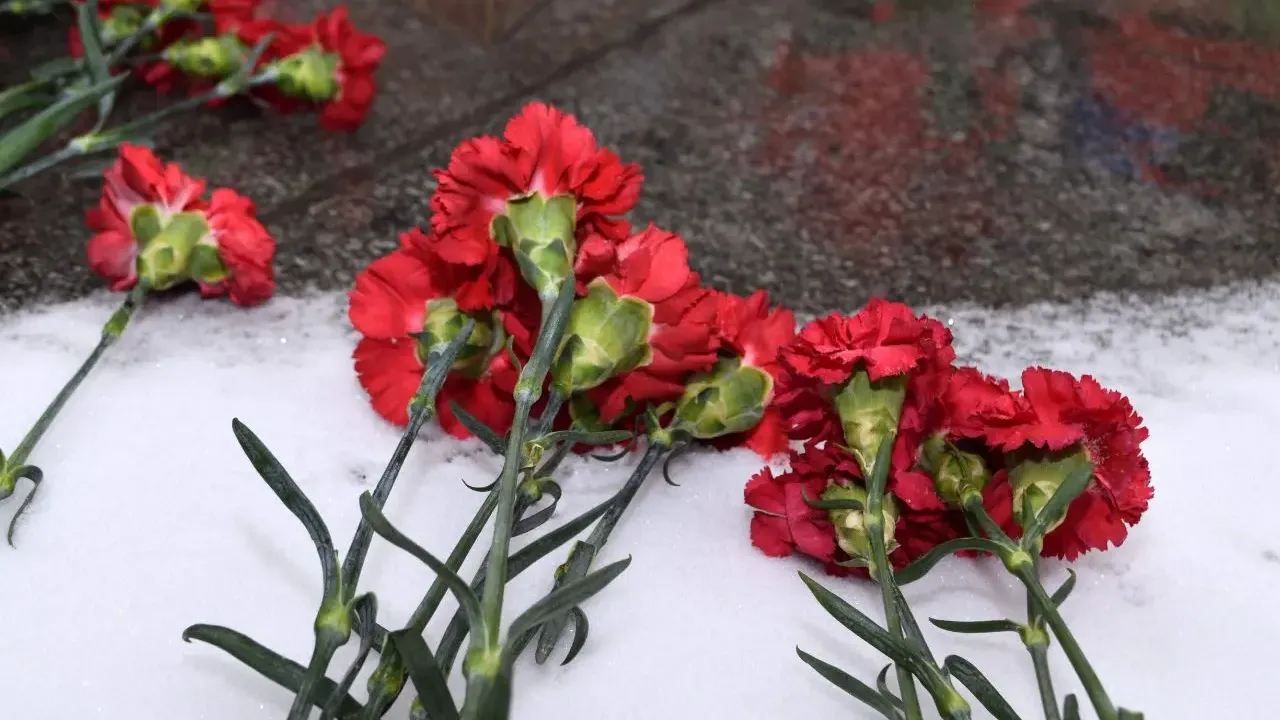 REGIONS/Наталья Дорофеева