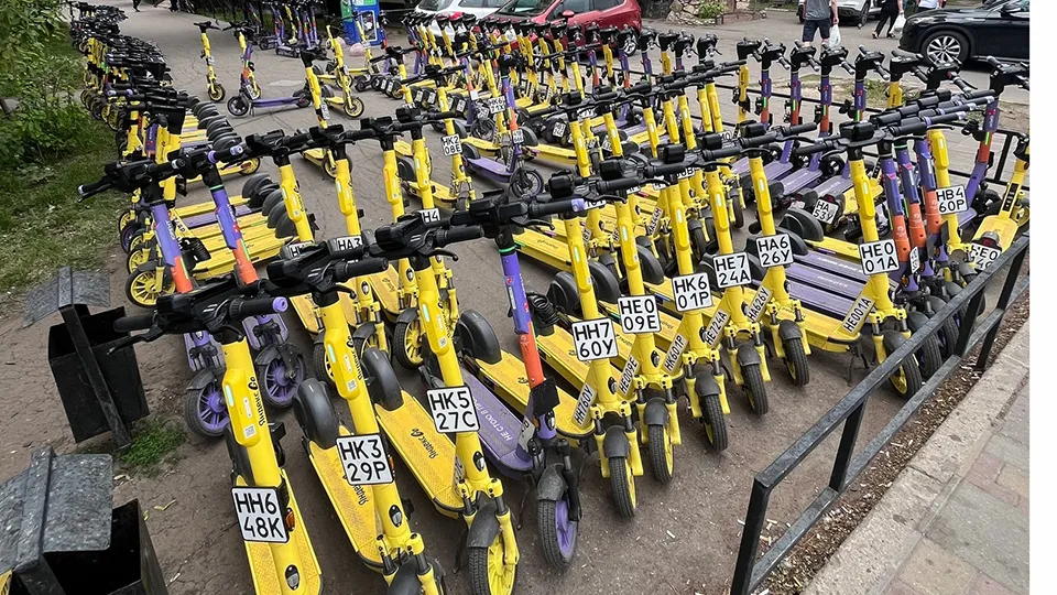 Фото: пресс-служба администрации Одинцовского г.о.