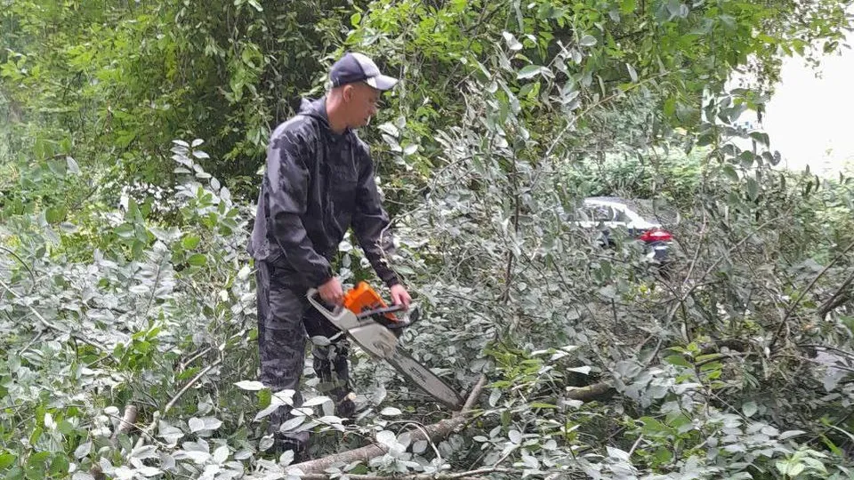 Фото: t.me/podolskadm