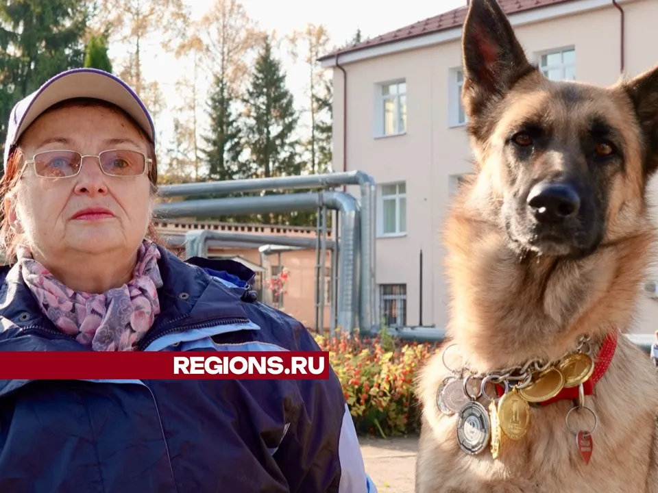 Фото: Дарья Леонова