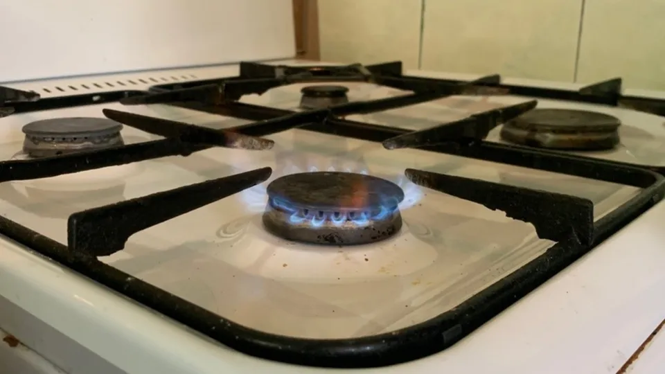 Фото: МедиаБанк Подмосковья/Андрей Семибратов