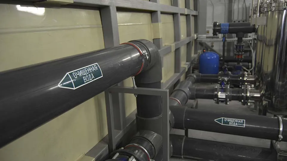 Фото: Оксана Лапшина