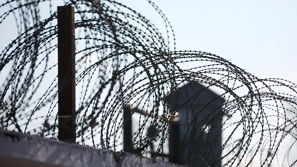 Фото: ТАСС/Сергей Фадеичев