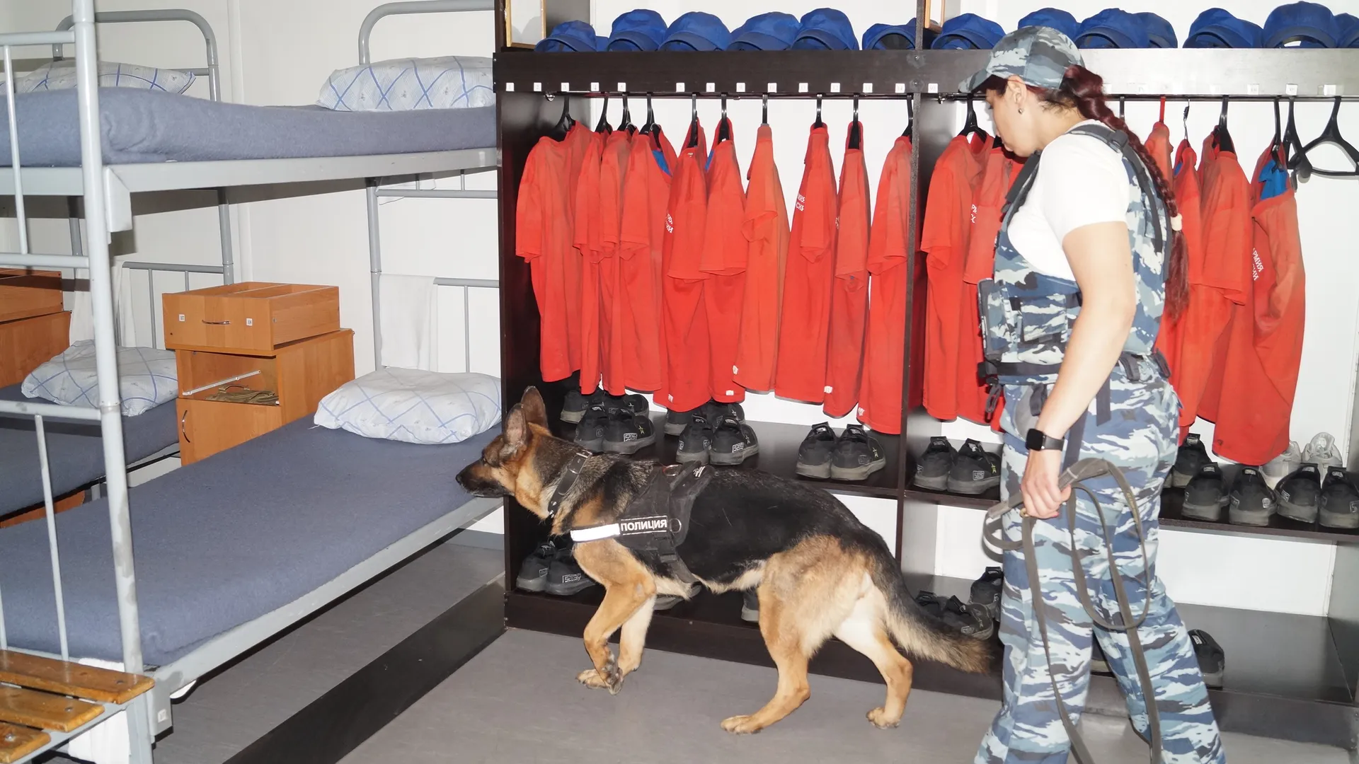 Фото: пресс-служба УМВД России по Ленинскому г.о.