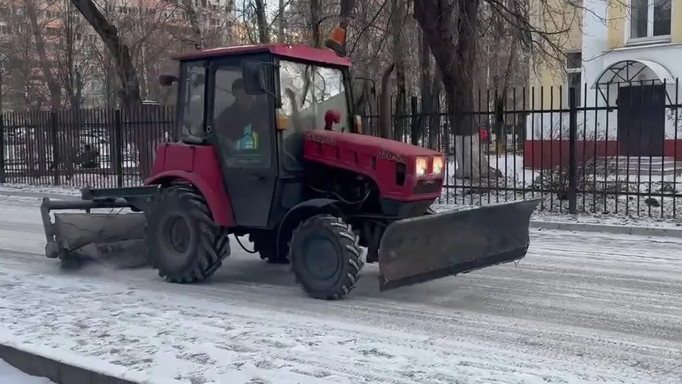 Фото: МедиаБанк Подмосковья/Ксения Казакова