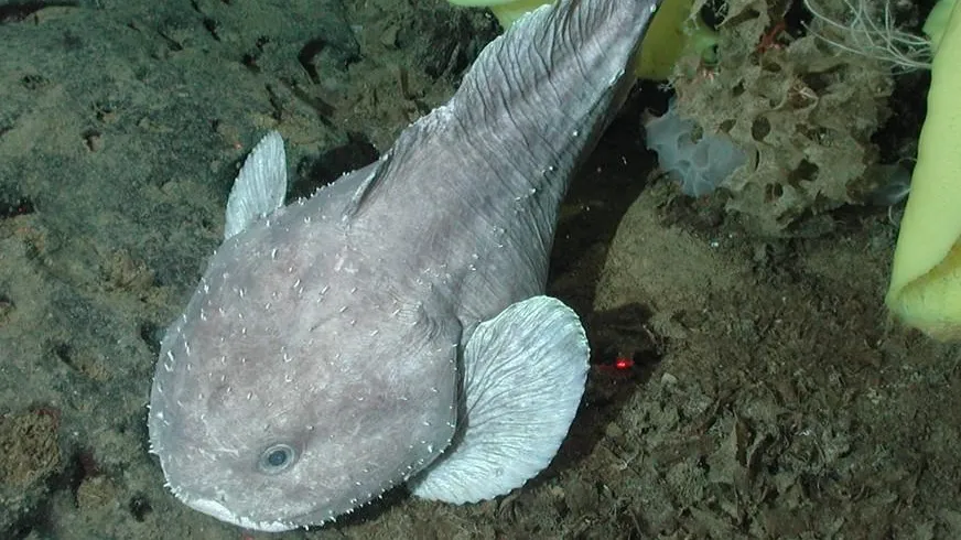 Cover Images/Keystone Press Agency