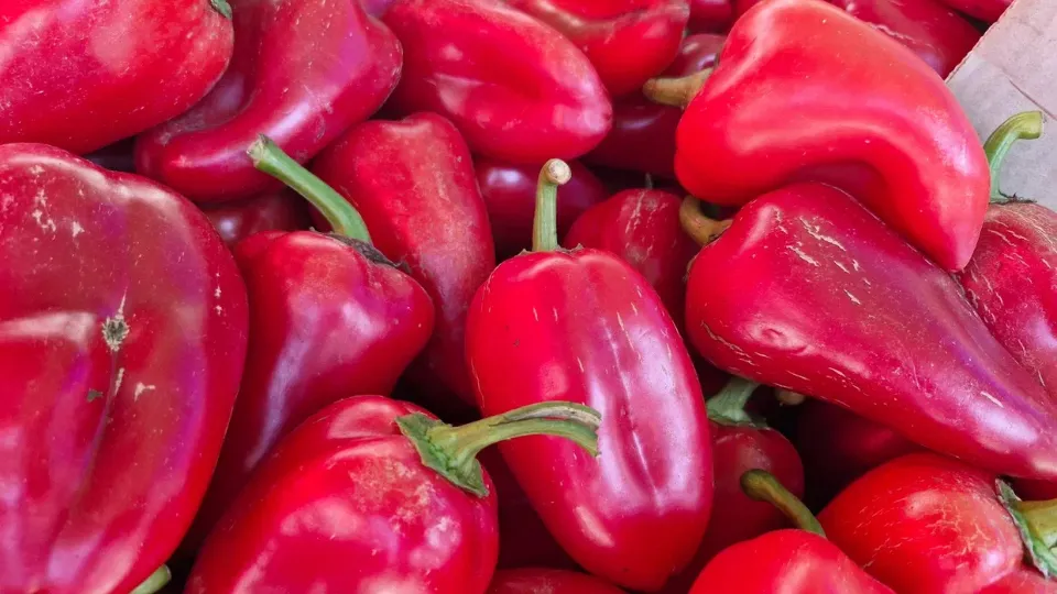 Фото: REGIONS/Наталия Надточая