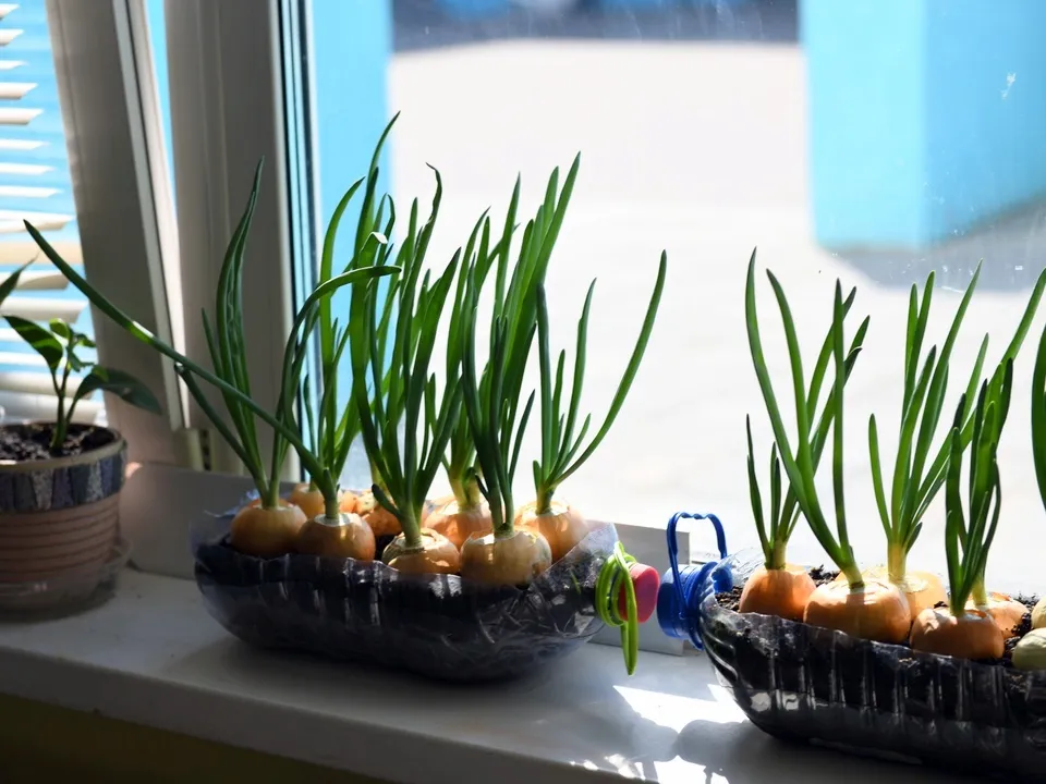 Фото: МедиаБанк Подмосковья/Антон Шаманин