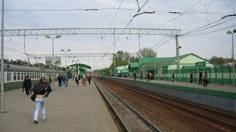 Электричка насмерть сбила мужчину в Подмосковье