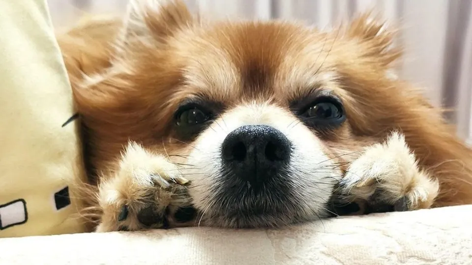 Фото: Гранель