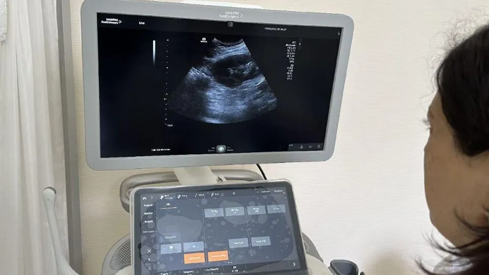 Фото: Домодедовская больница