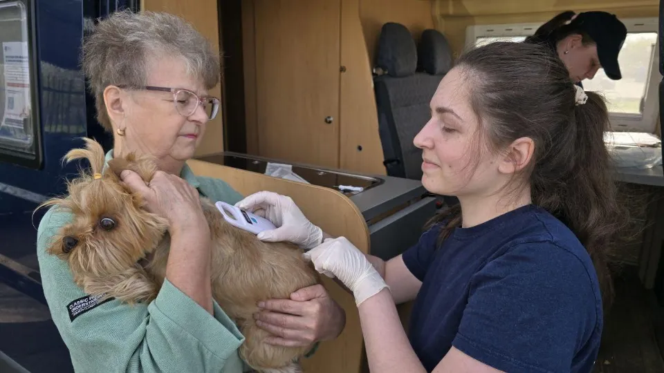 Фото: Яна Шаливская