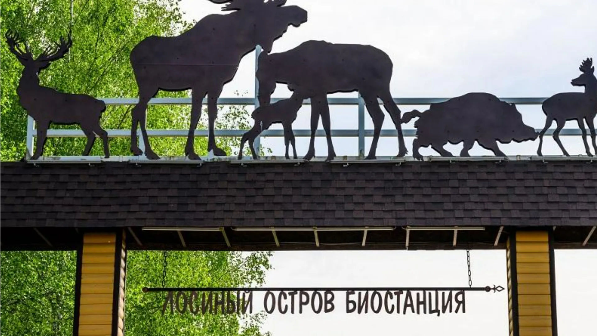 Фото: медиасток.рф