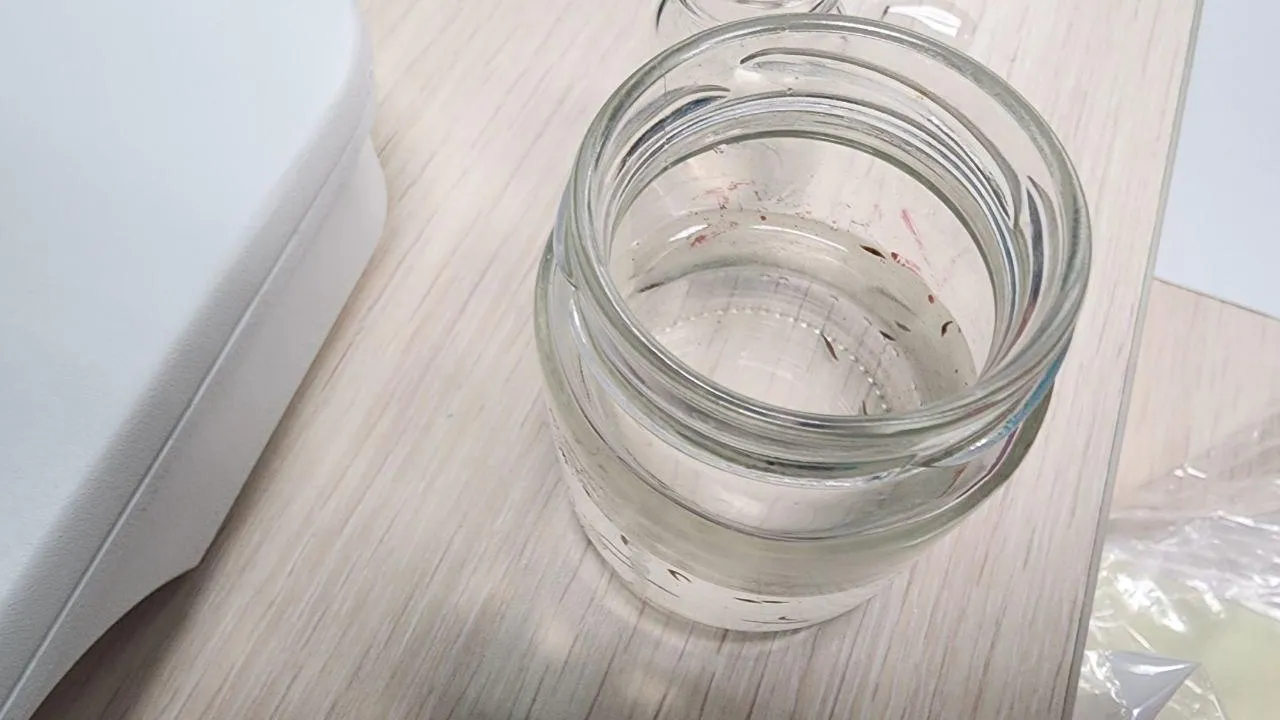 Фото: Мария Панина